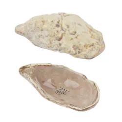 Блюдо для подачи 12,6*6,6 см h3,2 см 15 мл емкость для закусок Pearl Shell Frutti di Mare P.L. [1]