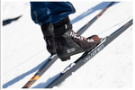 Спортивные лыжные ботинки Alpina Race Skate для конькового хода