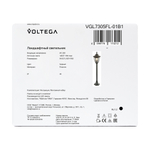 Ландшафтный светильник Voltega VGL7305FL-01B1