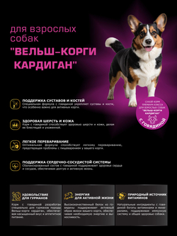 Корм для взрослых собак породы Вельш-корги кардиган, с говядиной, 12 кг, QUATTRO