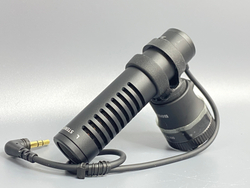 Canon DM E100