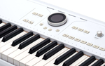 Синтезатор Arturia Astrolab