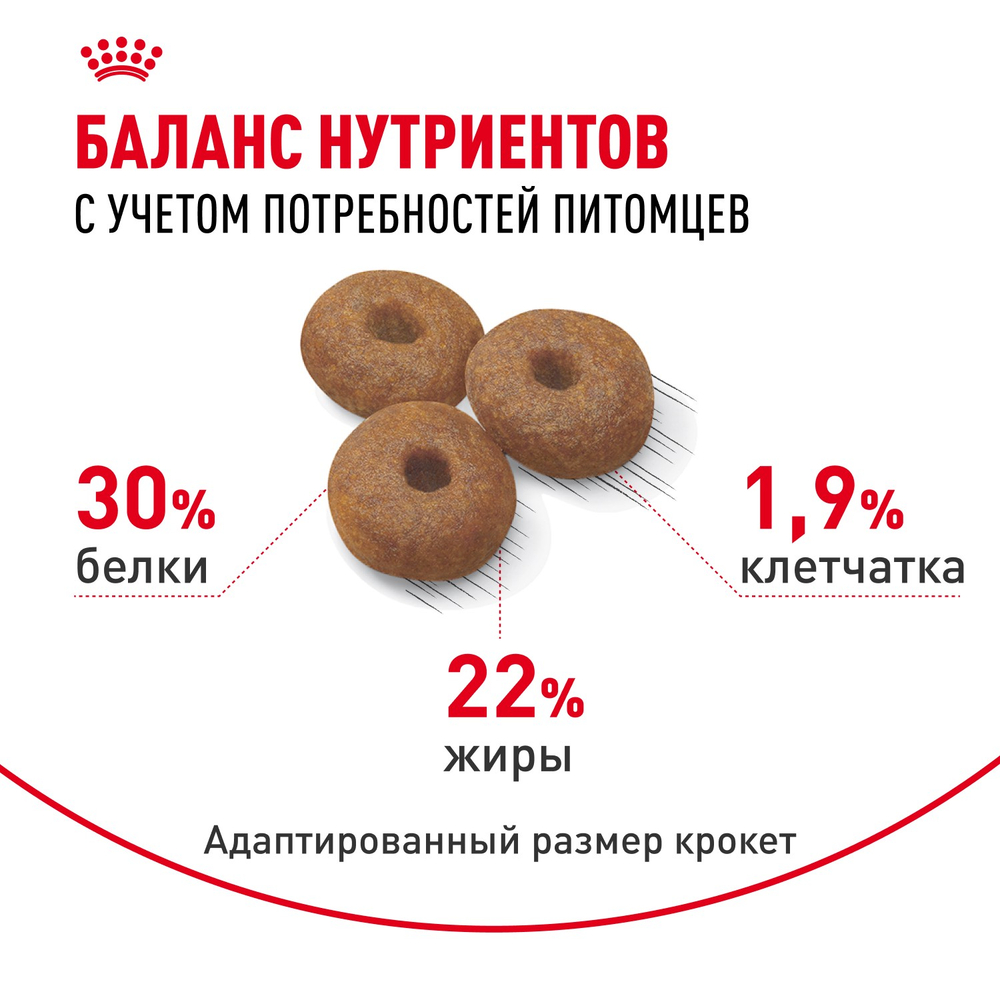 Royal Canin Maxi Starter Макси Стартер мазэ энд бэбидог Корм для щенков крупных пород до 2-х месяцев беременных и кормящих собак 4кг
