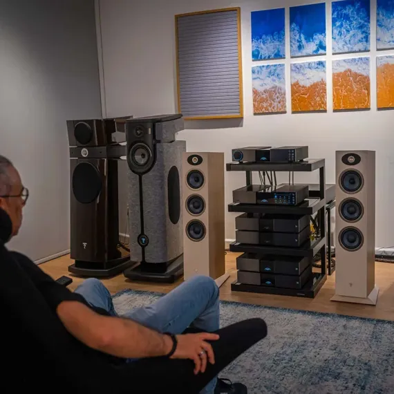 Focal Theva N3 Light Wood