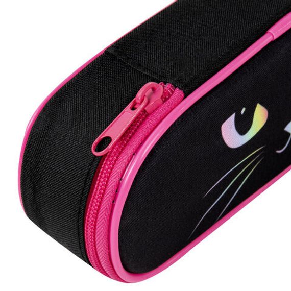 Penal \ Pencil case\ Пенал-футляр BRAUBERG, 1 отделение, органайзер, полиэстер, 22x9x5 см, 271585