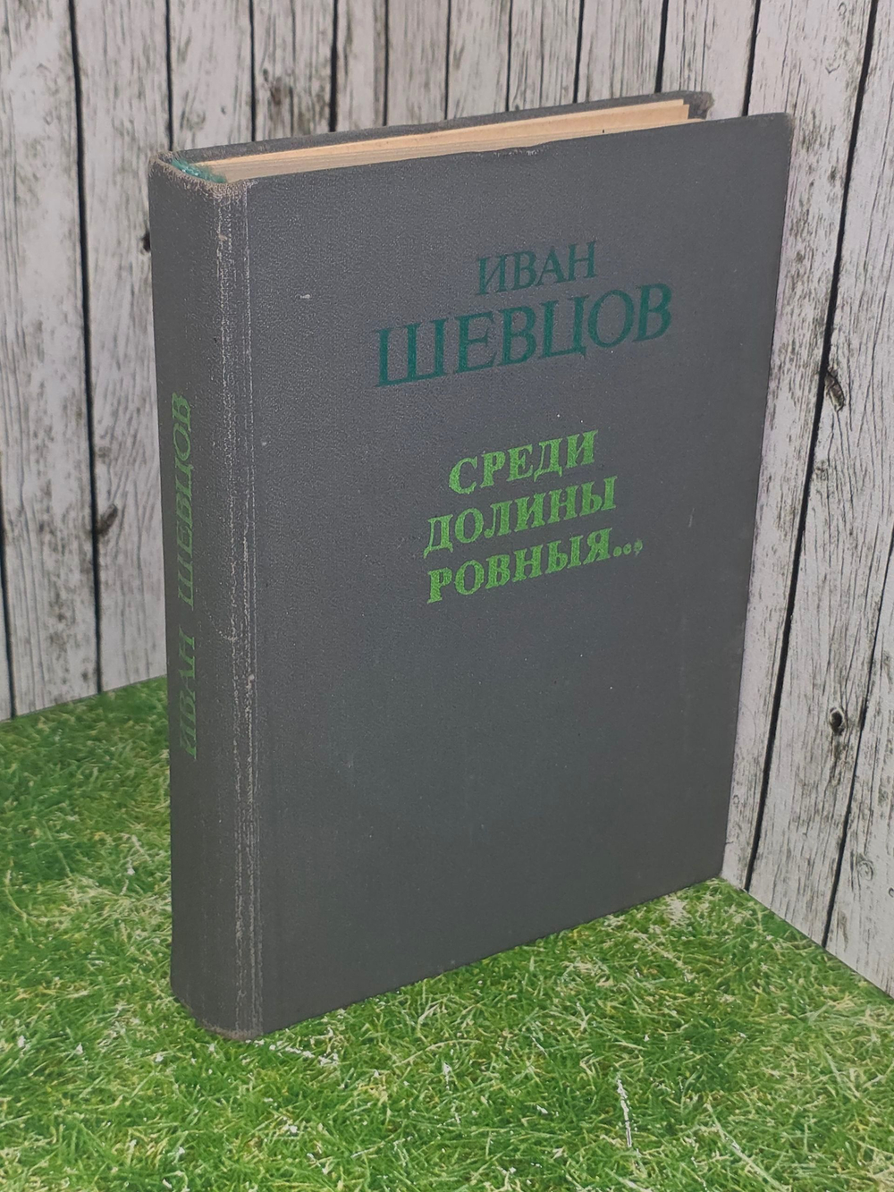 Иван Шевцов. Среди долины ровныя...