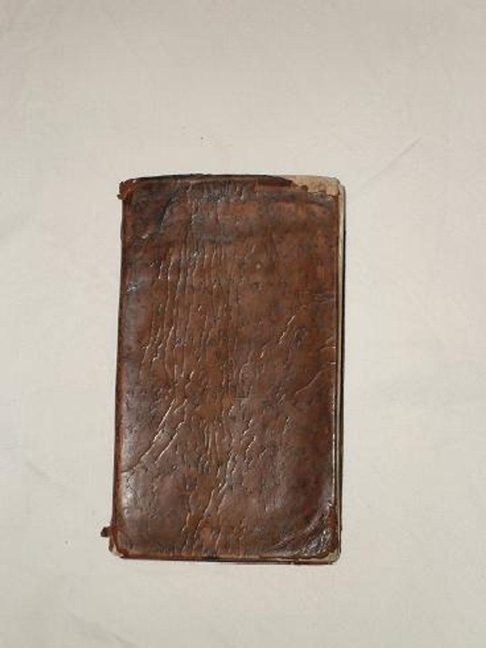 "Любовный вертоград, или Непреоборимое постоянство Камбера и Арисены". 1794 г.