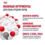 Royal Canin Medium Adult Медиум Эдалт Корм сухой для взрослых собак средних размеров от 1 года до 7 лет 3кг