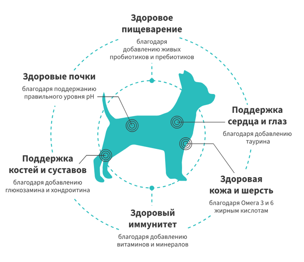 GRANDORF FRESH Свежее мясо утки с бататом для собак мелких пород