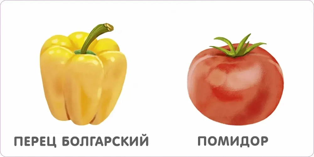 Овощи. Моя самая первая книжка