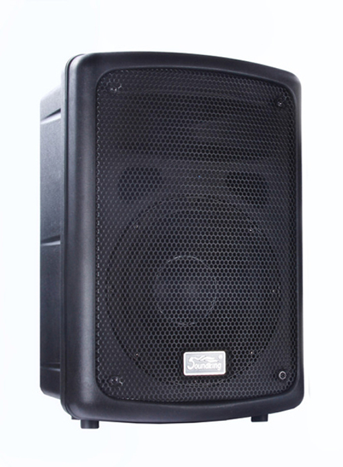 Soundking FP208-1A