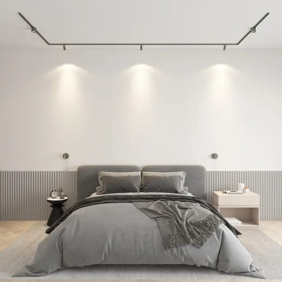 Трековый светильник SHINE SPOT | ШАЙН СПОТ DK5740-DN Denkirs