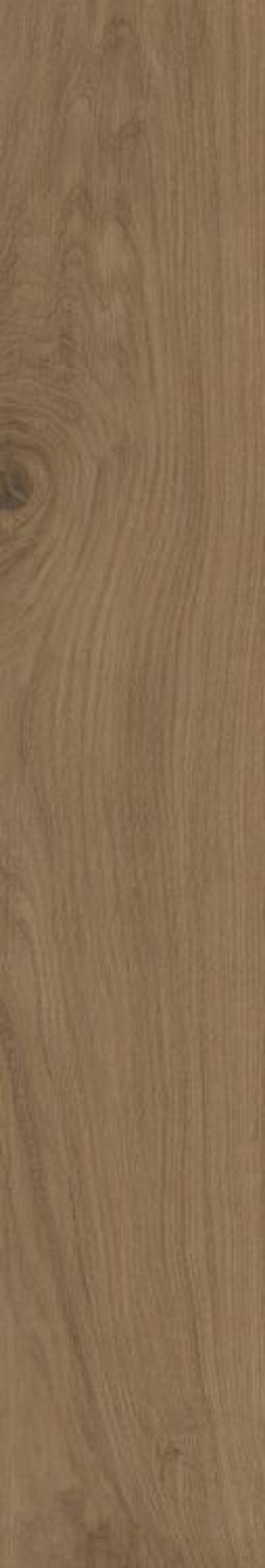Colorker Century Oak 25x150