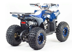 Квадроцикл MOTOLAND 125 COYOTE