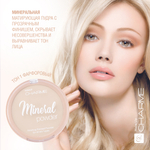 "Charme" Пудра компактная Минеральная тон 01 (фарфоровый)