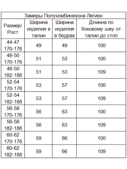 Комбинезон Легион летний синий на лямках Штаны рабочие