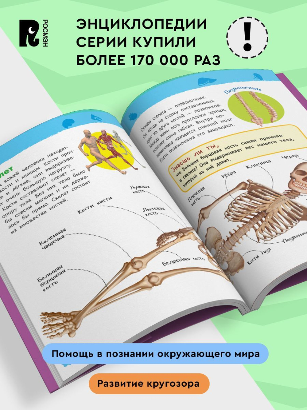 Тело человека (Энциклопедия для детского сада)