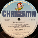 Tony Banks ‎– A Curious Feeling (Англия 1979г.)