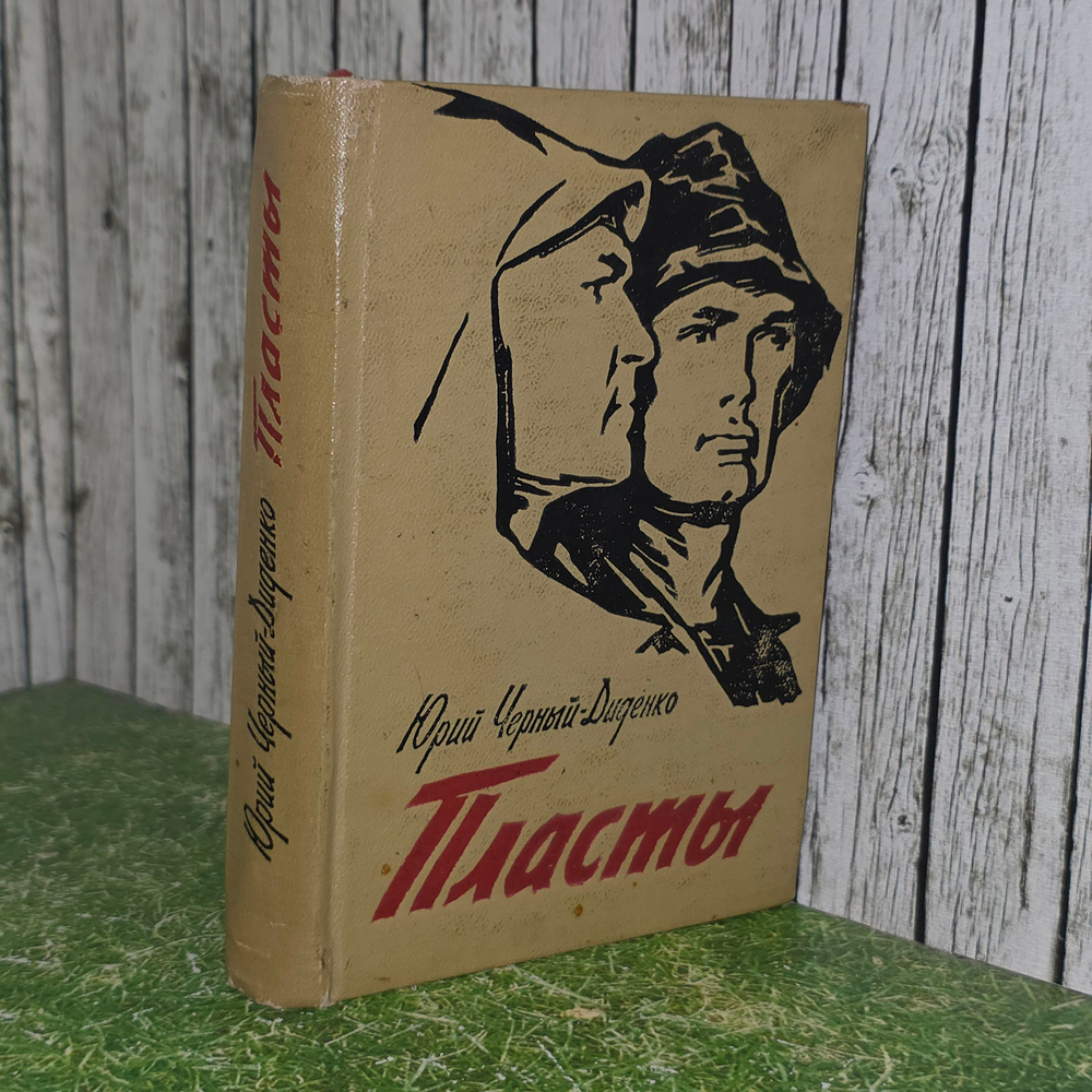 Книга "Пласты"