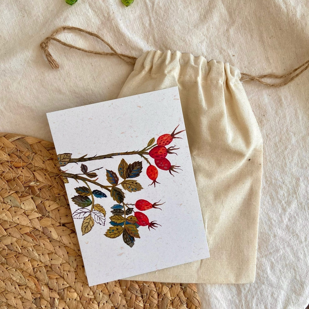 открытка "шиповник" 🌿