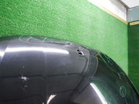 DSCN9645.JPG