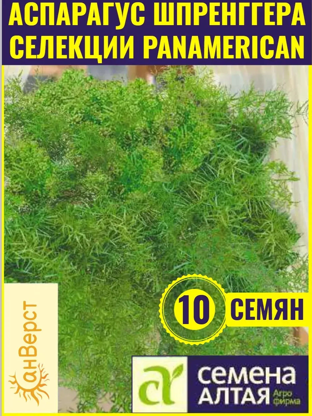 Семена цветов аспарагус Шпренггера. Густые побеги до 1,5 м