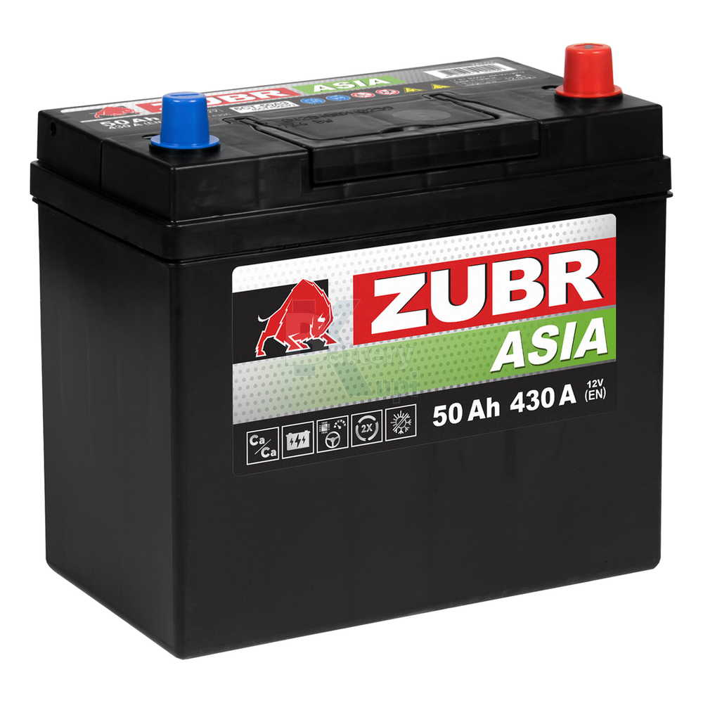 Аккумулятор ZUBR Premium Asia (50Ah, 430A, R+) ZPA500