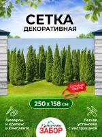 Фотосетка на забор кусты ландшафтный дизайн 2,5х1,58 м