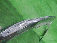 DSCN6209.JPG