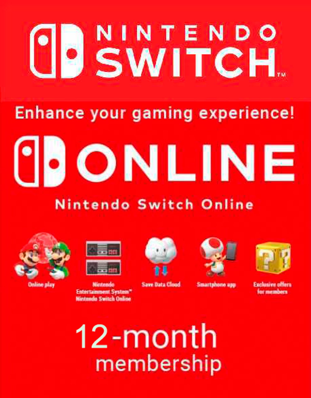 Nintendo eShop Store Poland: 12-месячная подписка Online Индивидуальная [Цифровой код доступа]