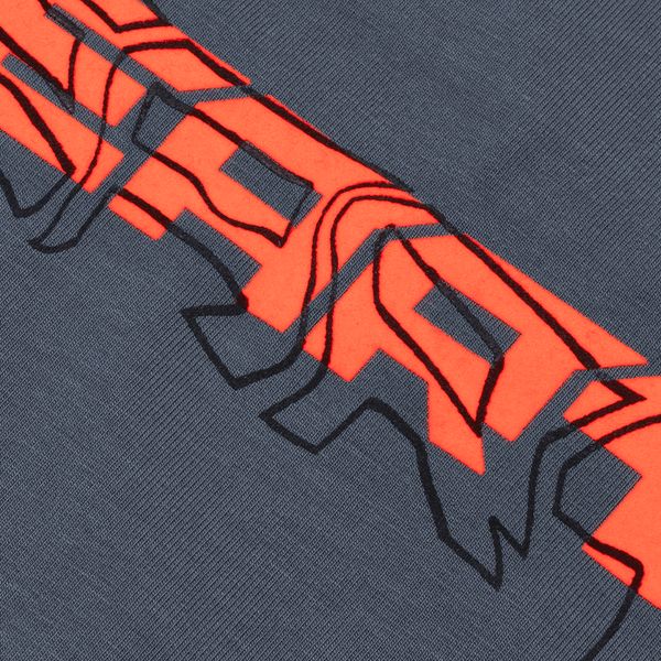Футболка Wave Logo Black Series ED2 серая - фото 4