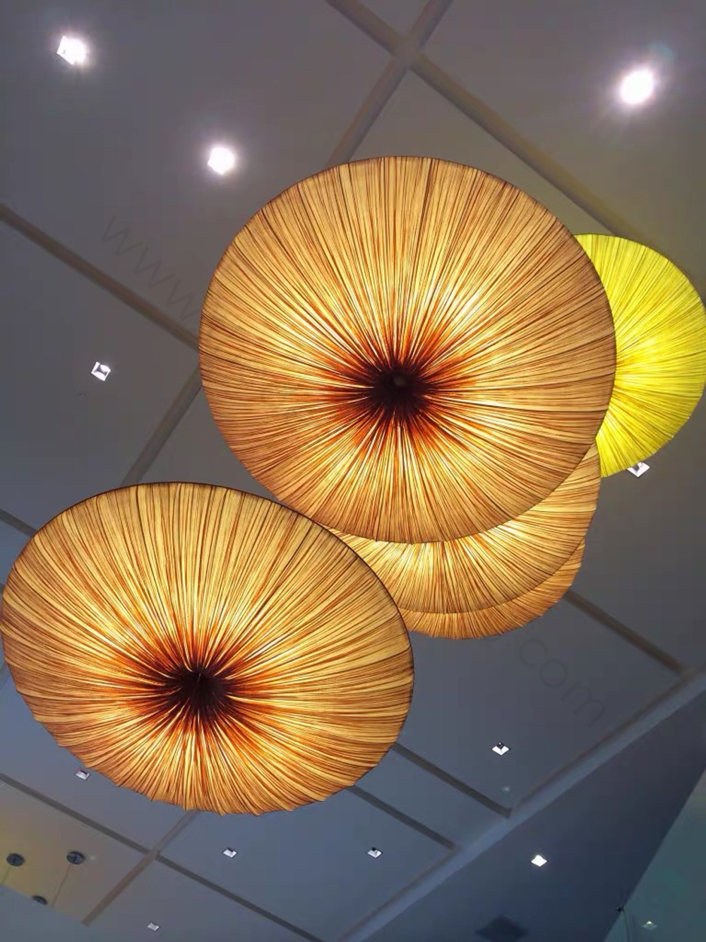 Wall design lamp Sahara Wall & Ceiling Light by Aqua Creations Studio