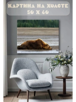 Картина на стену 40 X 50 Бурый медведь