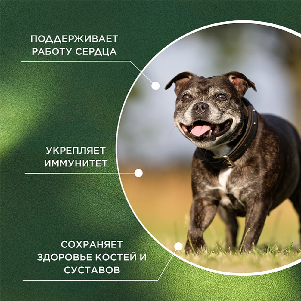 ProPhyto Сеньор Саппорт, 100 таблеток