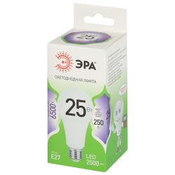 Лампа светодиодная ЭРА GREEN LINE LED A60-25W-865-E27 GL 25Вт груша холодный свет E27 | Лампы cветодиодные Груша (A)