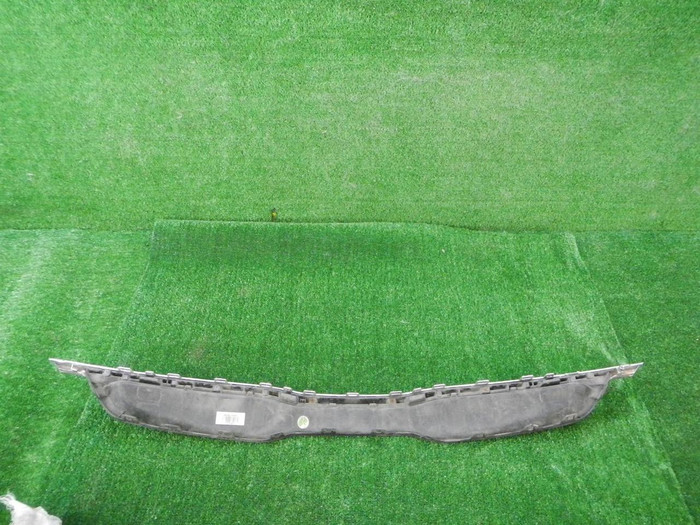 DSCN4156.JPG