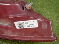 DSCN5550.jpg
