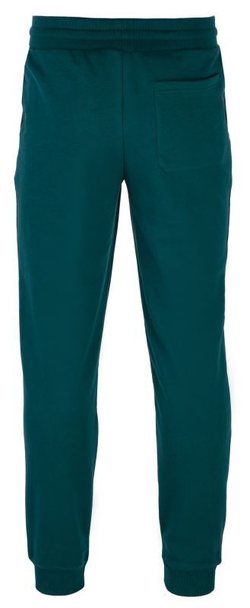 Мужские теннисные штаны Fila Sweatpants Larry - deep teal