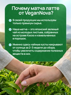 Матча латте с сублимированной клубникой и коллагеном (100гр)