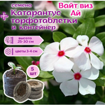 Семена Бархатцы низкорослые желтые махровые Марвел + торфяные таблетки Jiffy в подарок, 5шт