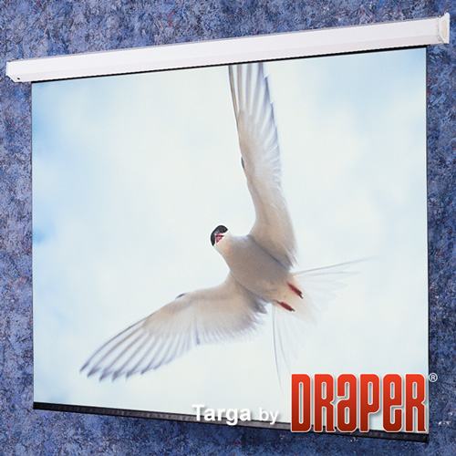 Моторизированный экран Draper Targa NTSC (3:4) 335/11" 198*264 HCG [16000499]