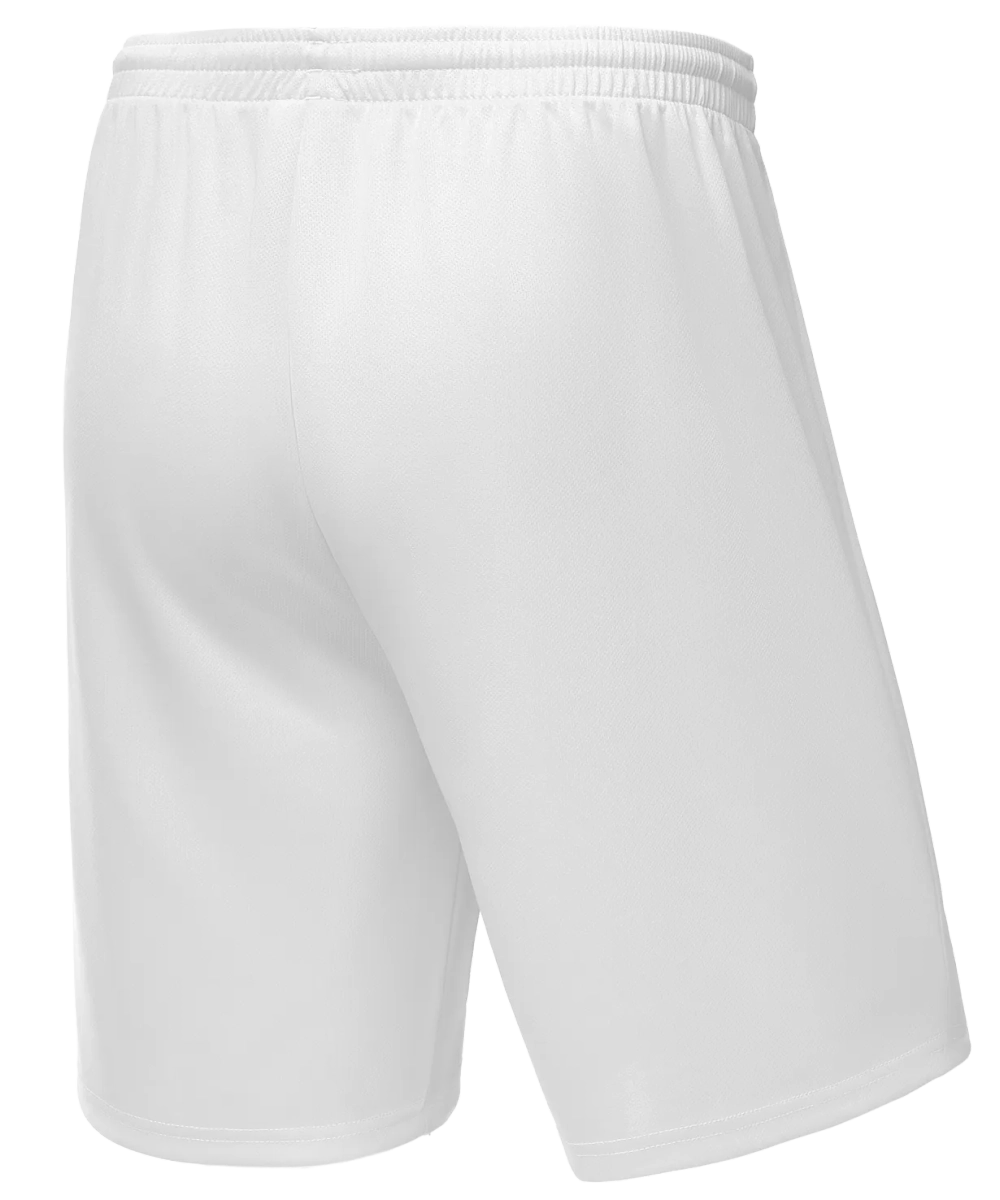 Шорты баскетбольные Camp Basic, белый