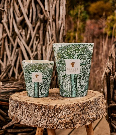 Kamalo, свеча MAX 24 Sacred Trees collection, Baobab Collection