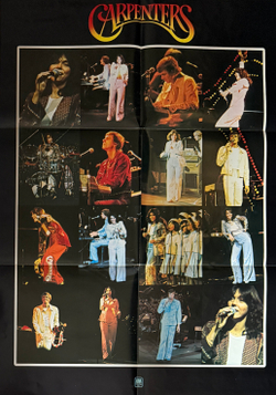Виниловая пластинка Carpenters - Gem Of Carpenters 2LP