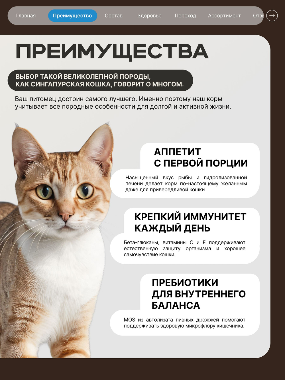 Корм сухой для взрослых кошек породы Сингапурская кошка, с лососем, 400 гр, QUATTRO