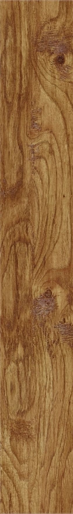 Eastern Hickory 57422