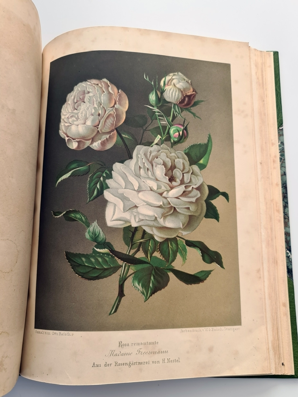 "Nestel`s Rosengarten. [  Сад роз Нестела]". E. Schweizerbartsche Verlagshandlung. 1869г.