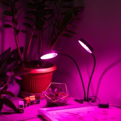 Светильник для растений на прищепке ЭРА FITO-20W-АLED-R красно-синего спектра 20 Вт черный | Интерьерные фито светильники