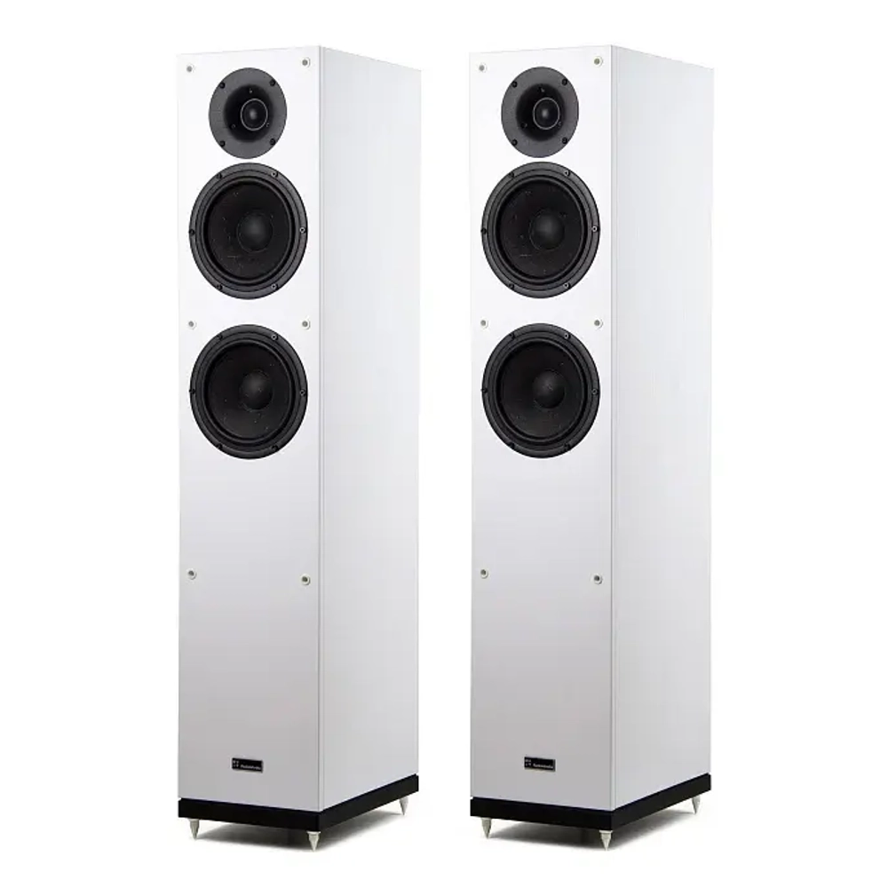 Radiotehnika Gamma 3.02 White Ash напольная профессиональная акустическая система (пара)