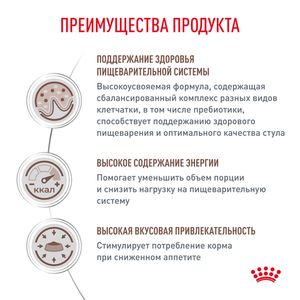Пауч Royal Canin GastroIntestinal для взрослых кошек при расстройствах пищеварения